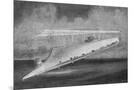 Wood Mount