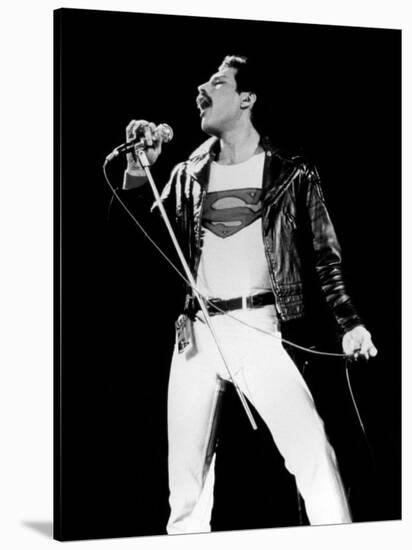 Freddie Mercury-Mike Ruiz-Stretched Canvas