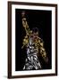 Freddie Mercury-Cristian Mielu-Framed Art Print