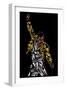 Freddie Mercury-Cristian Mielu-Framed Premium Giclee Print