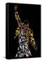 Freddie Mercury-Cristian Mielu-Framed Stretched Canvas
