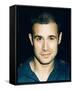 Freddie Prinze Jr-null-Framed Stretched Canvas