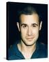 Freddie Prinze Jr-null-Stretched Canvas