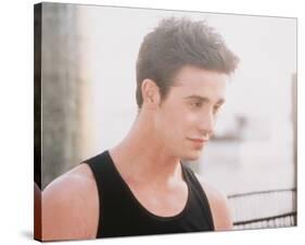 Freddie Prinze Jr.-null-Stretched Canvas