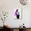 Freddie Watercolor-Lora Feldman-Stretched Canvas displayed on a wall