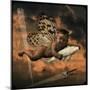 Freddie-Lydia Marano-Mounted Photographic Print