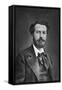Frederic Bartholdi, French Sculptor, 1880-null-Framed Stretched Canvas