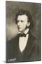 Frederic Chopin Polish Composer-null-Mounted Premium Photographic Print