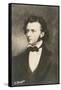 Frederic Chopin Polish Composer-null-Framed Stretched Canvas