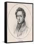 Frederic Chopin Polish Musician-null-Framed Stretched Canvas