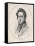 Frederic Chopin Polish Musician-null-Framed Stretched Canvas