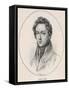 Frederic Chopin Polish Musician-null-Framed Stretched Canvas