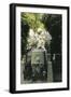 Frederic Chopin's-null-Framed Giclee Print