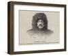 Frederic Payot-null-Framed Giclee Print