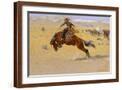 Brown Frame