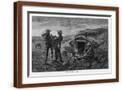 Brown Frame