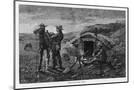 Wood Mount