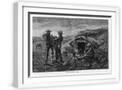 White Frame