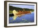 Brown Frame