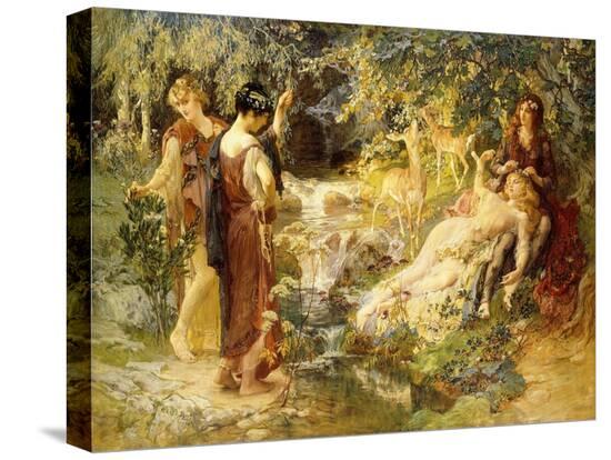 Stretched Canvas Print, , large