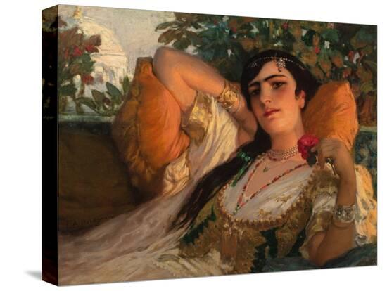 Stretched Canvas Print, , large