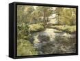 Canvas Black