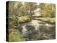 Stretched Canvas
