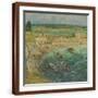 Brown Frame