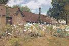 Just the Print
