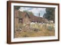 Brown Frame