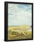 Essential Black