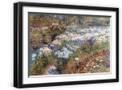 Black Frame
