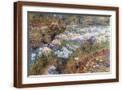Brown Frame