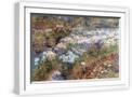 White Frame