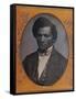 Frederick Douglass, American Abolitionist-Science Source-Framed Stretched Canvas