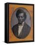 Frederick Douglass, American Abolitionist-Science Source-Framed Stretched Canvas