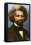 Frederick Douglass, American Abolitionist-Science Source-Framed Stretched Canvas