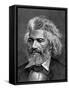 Frederick Douglass-null-Framed Stretched Canvas