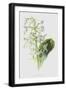 Black Frame