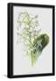 Essential Black