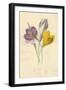 Black Frame