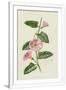 Gramercy White