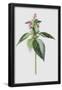 Essential Black