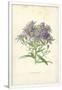 Gramercy White