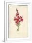 Gramercy White