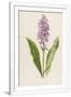 Gramercy White