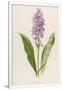Gramercy White