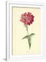 Gramercy White
