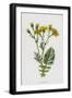 Black Frame