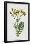 Essential Black